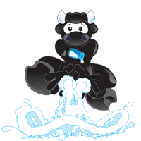 image for Funducate Related Links